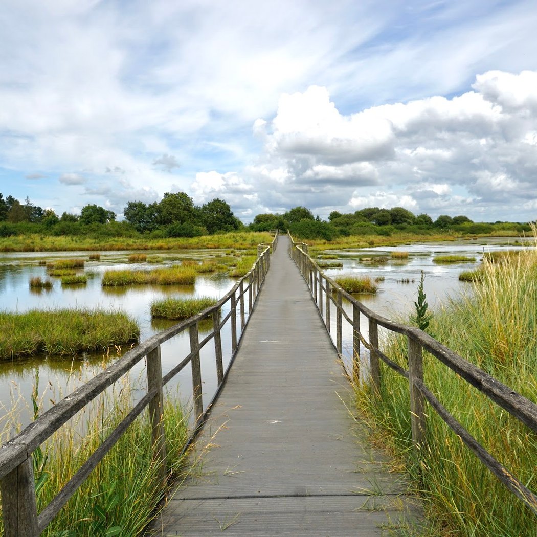 Réserve Naturelle des Marais de Séné 1