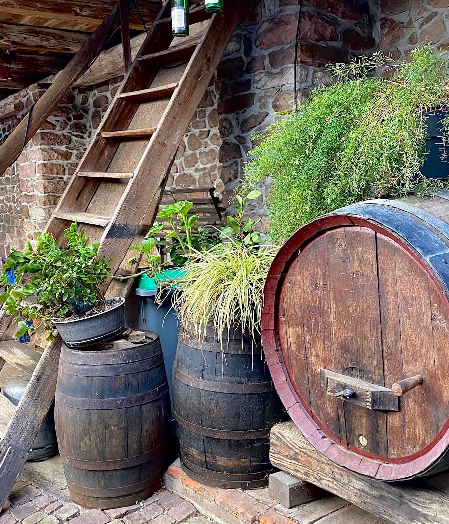 Vins d'Alsace Maurice SCHUELLER 3