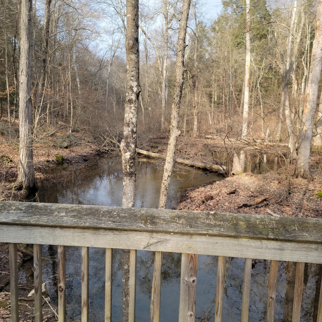 Roosevelt Farm Lane Trail 2