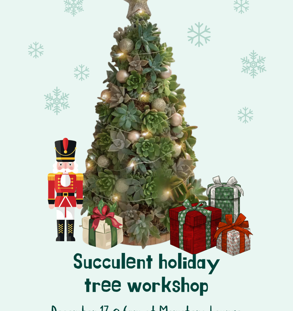 Succulent Holiday Tree Workshop 1