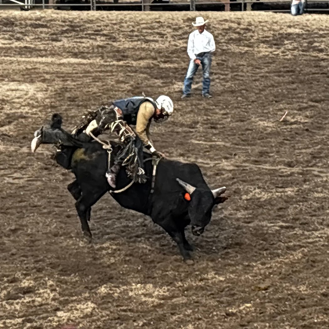 Broncs, Bulls, & Barrels Rodeo 1