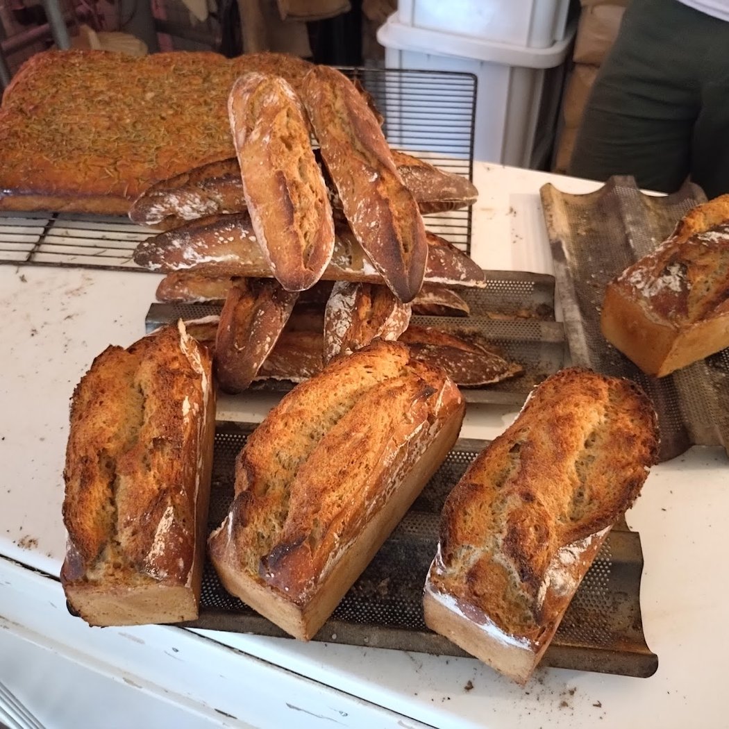 General Fermentation 3