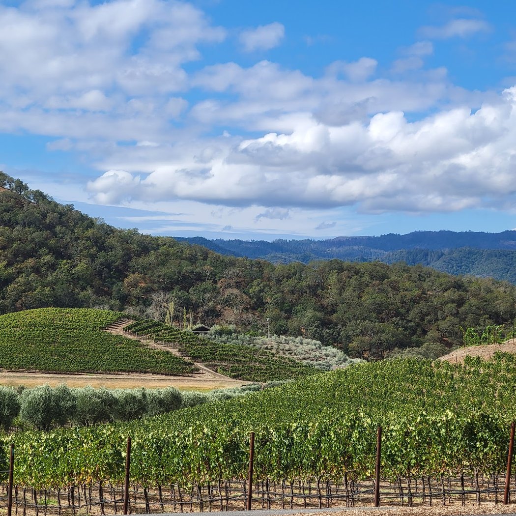 Shafer Vineyards 2