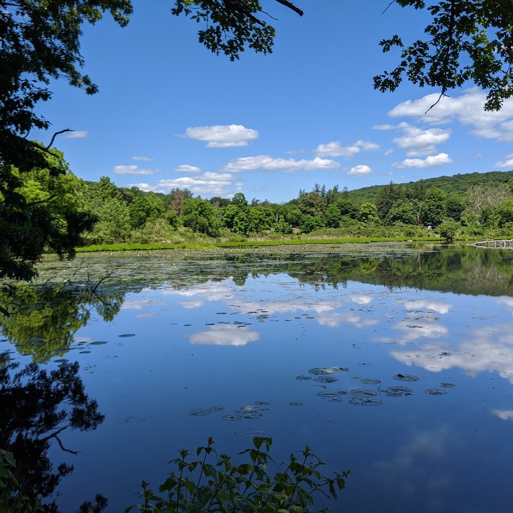 Ringwood State Park 2