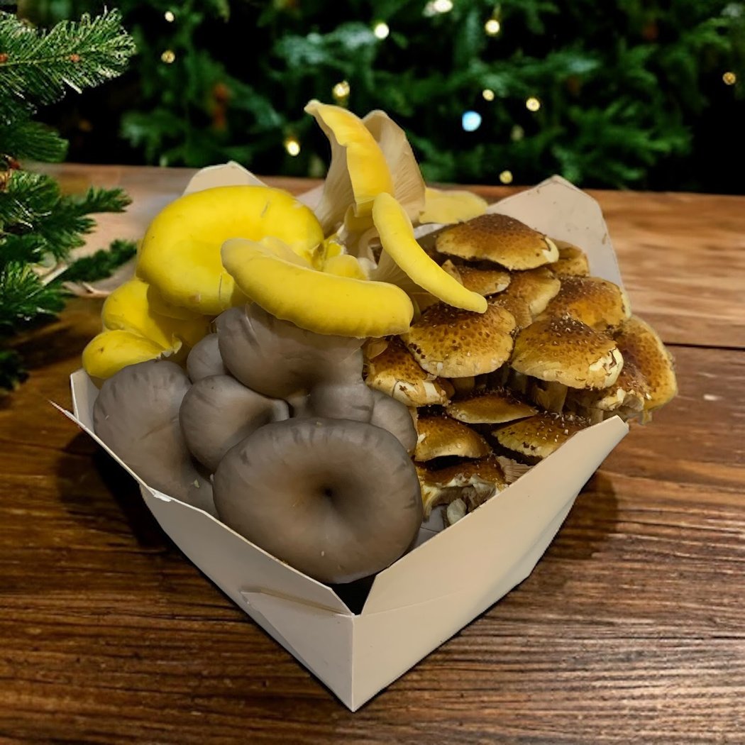 Santa Cruz Mushrooms 2