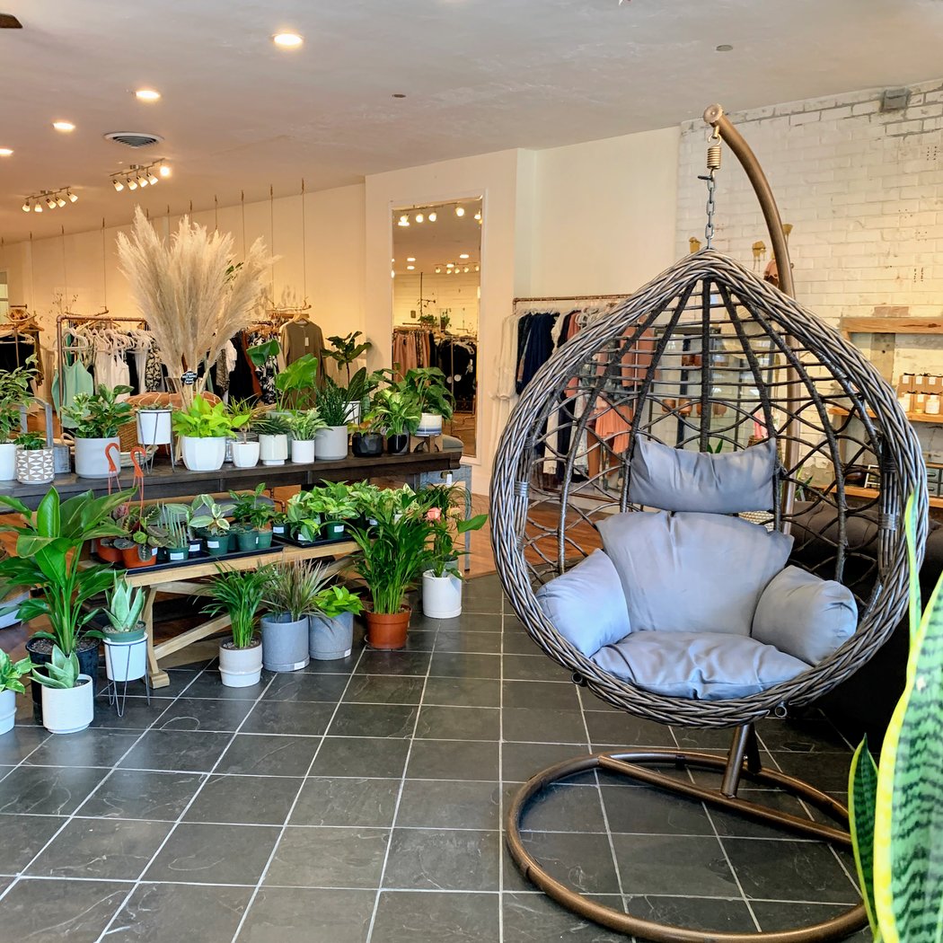 Boutique Dandelion 3