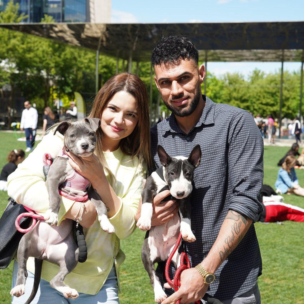 A Day for the Dogs 3
