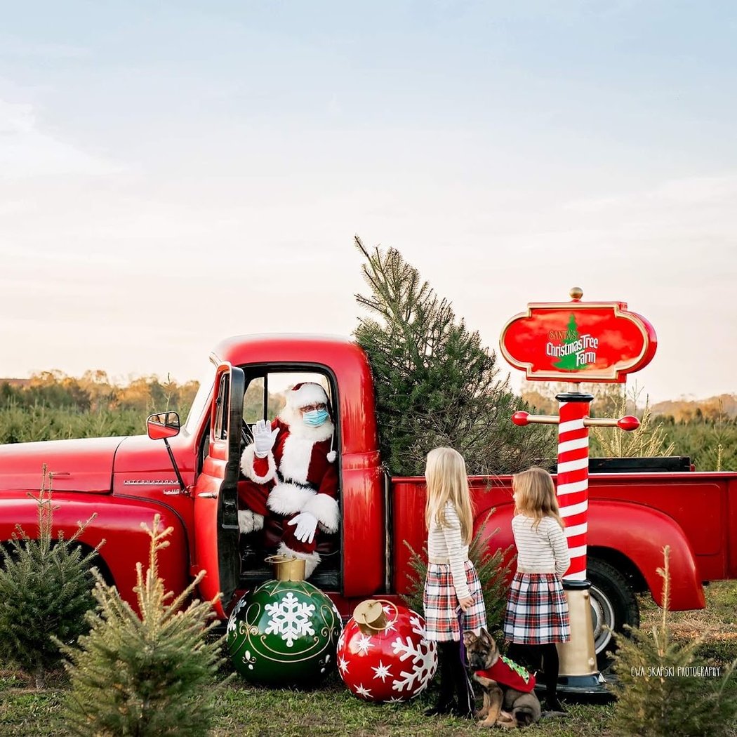 Santa's Christmas Tree Farm LI 1
