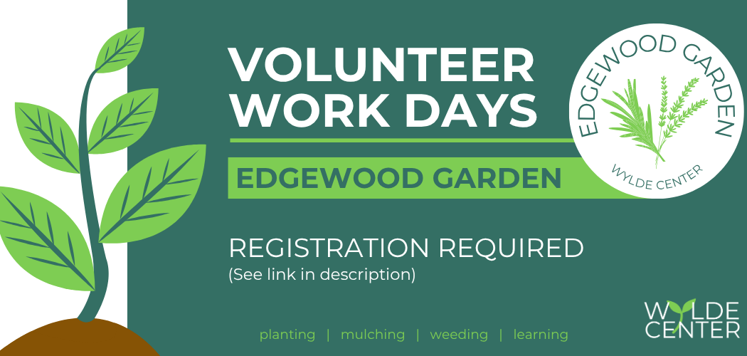 Volunteer Opportunity: Edgewood Garden 1
