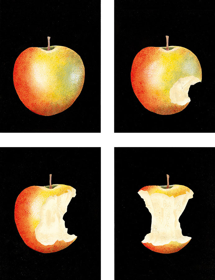 Bernadette Gervais, Métamorphose – Ronald Curchod, Fabricant d’images 1