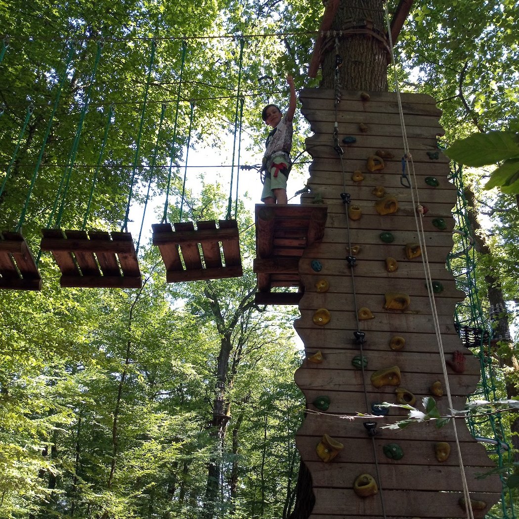 Jumping Forest Chenoise 3