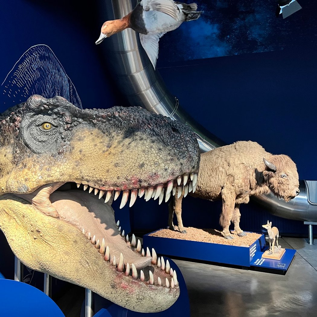 Luxembourg National Museum of Natural History 1