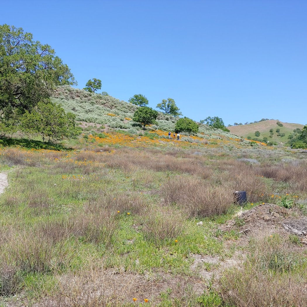 Fossil Hill Trail Hike 2