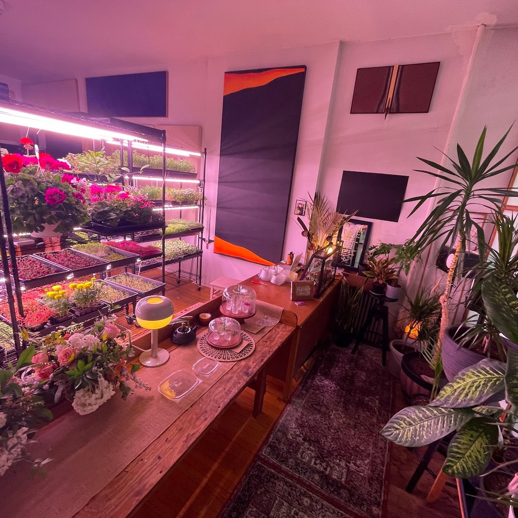 Ecobay Farms 3