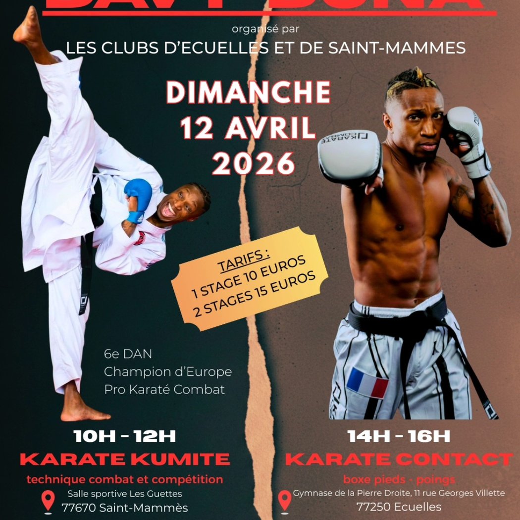 Stage de karaté avec Davy DONA 1