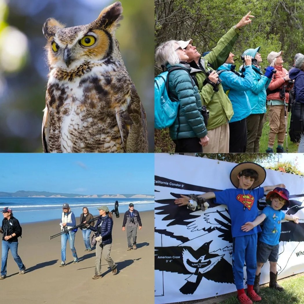 Point Reyes Birding & Nature Festival: Sunday Family FUN Day 1