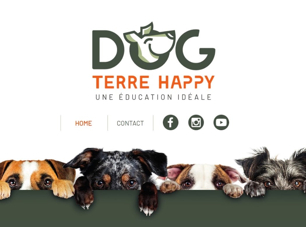 Dog Terre Happy 1
