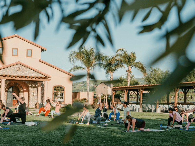 Sweat, Stretch & Sip | In Partnership with Crossfit 580 and Restore Body + Joint 1