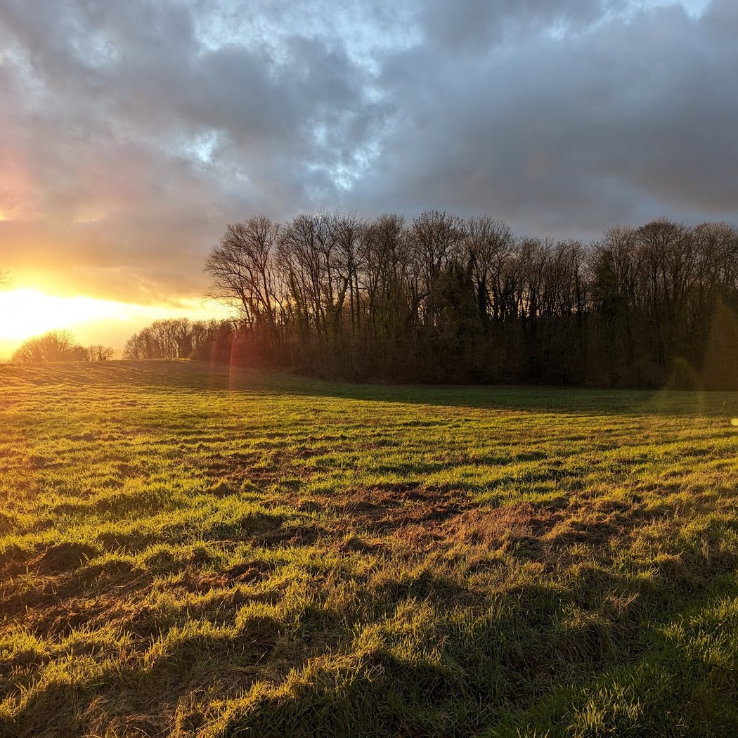 Chemin des touplines 3