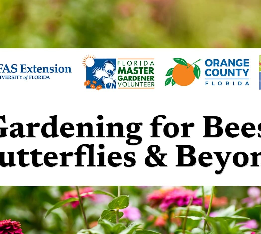 Gardening for Bees, Butterflies & Beyond 1