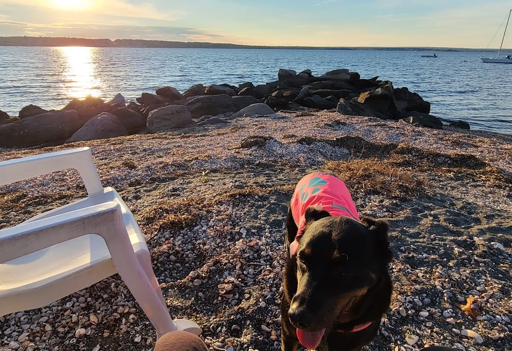 Head's Beach, Jamestown 1