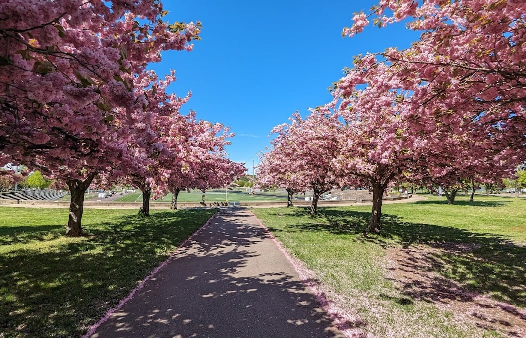 Moakley Park Cleanup 1