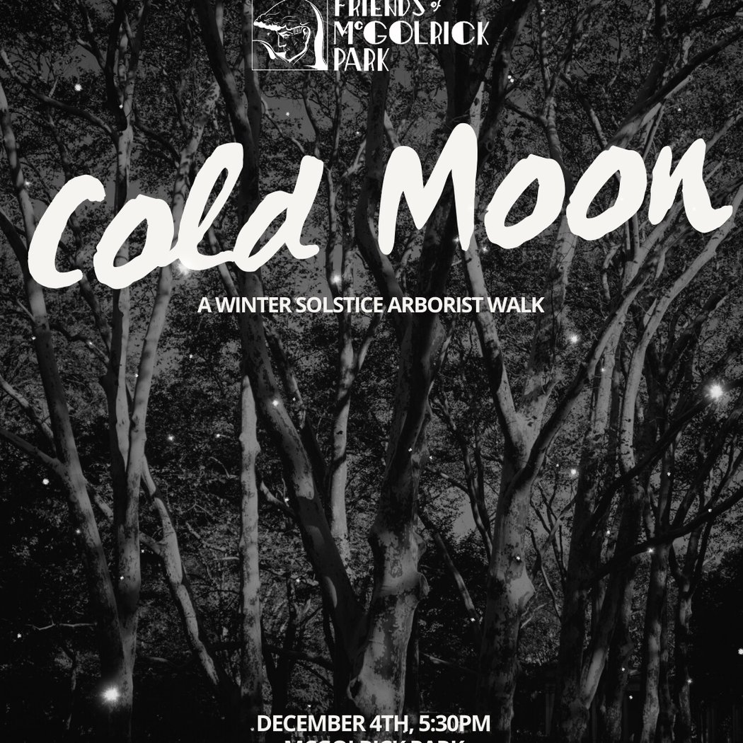 Cold Moon: A Winter Solstice Arborist Walk 1