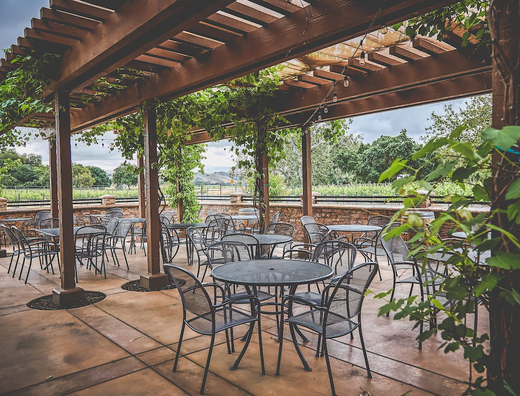 Dante Robere Vineyards 5