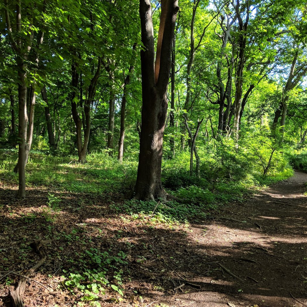 Trail View State Park 2