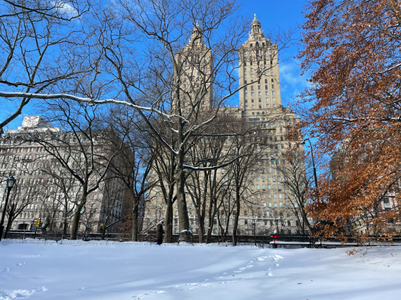Central Park 4
