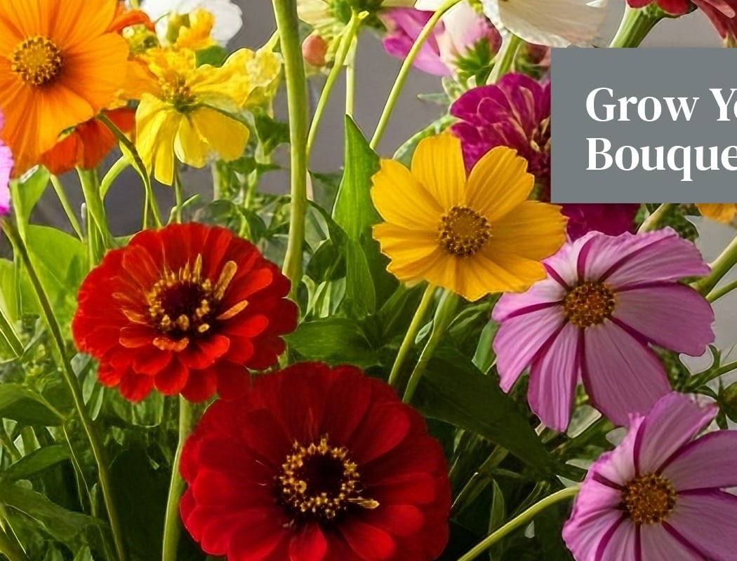 Cut Flower Gardening Class 1