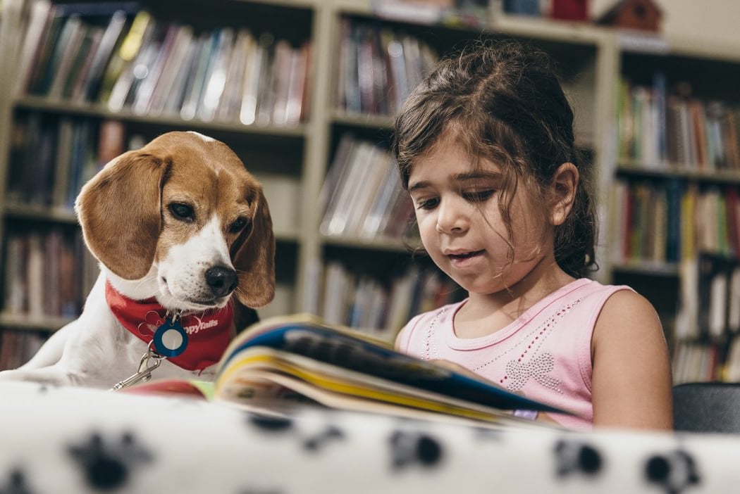 Bark for Books 1