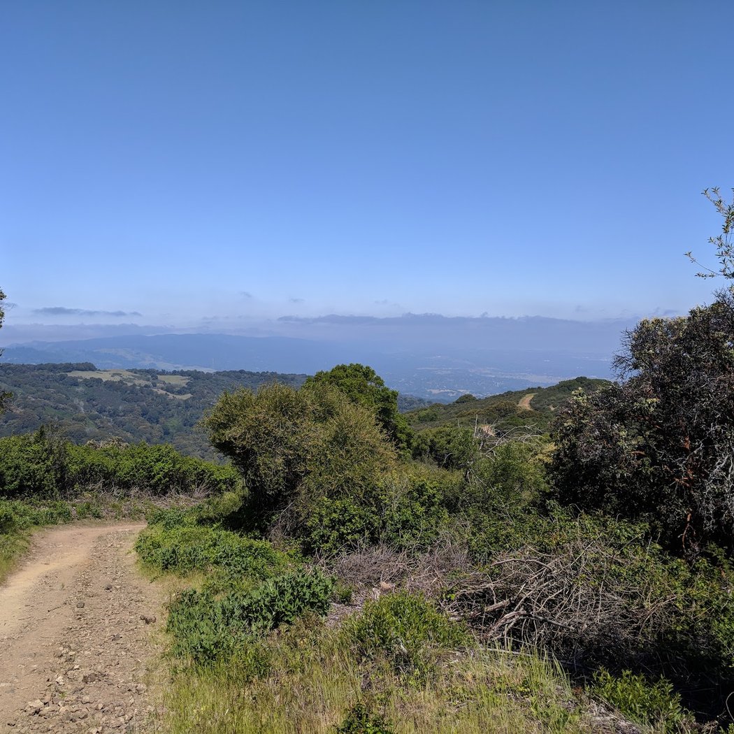 Black Mountain Trail 3