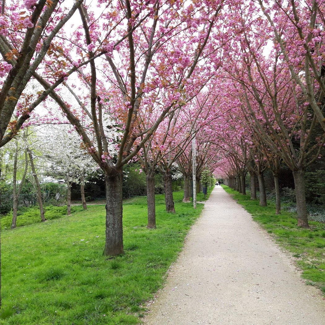 City/Town Hall Park 1