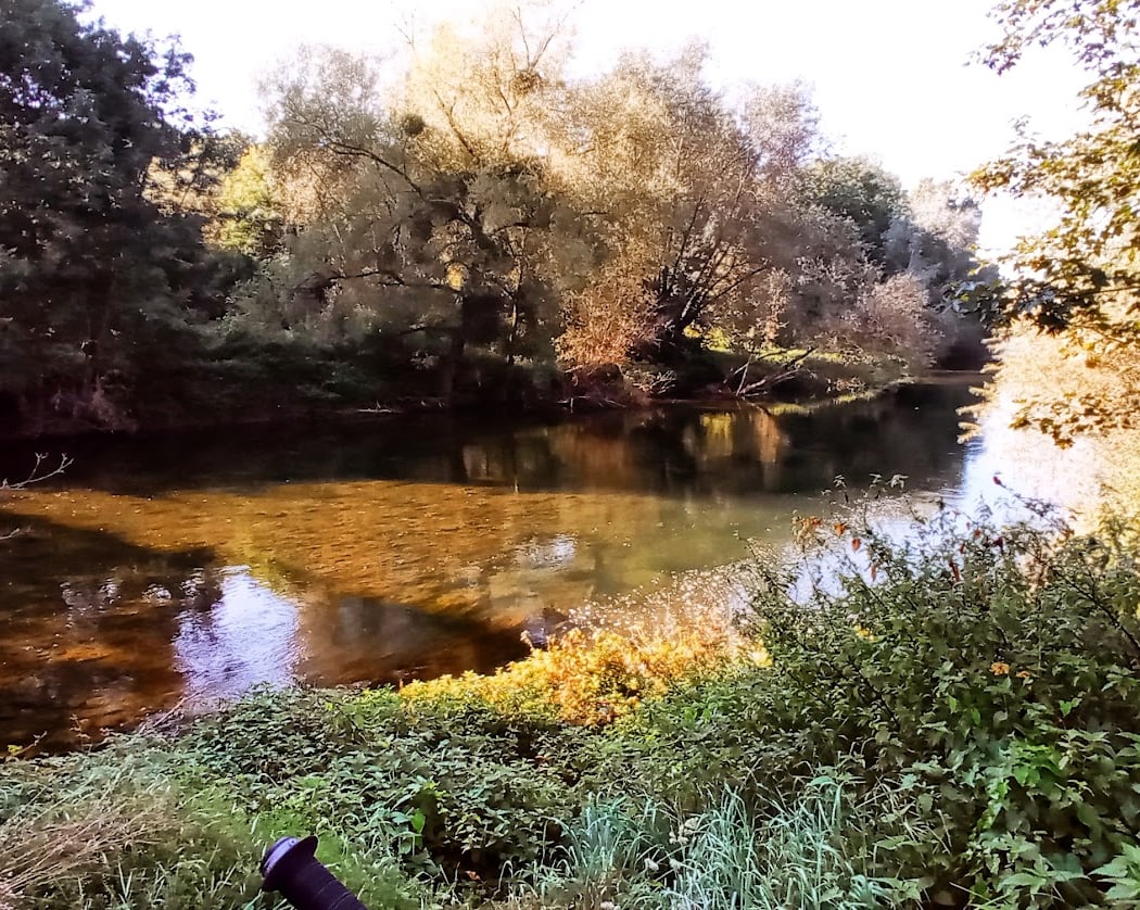 Parc du Jard - SAINT-DIZIER 1