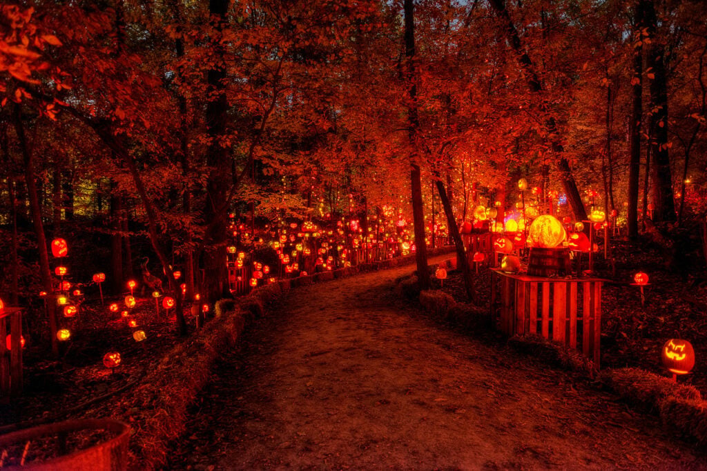 Jack O' Lanterns Unleashed