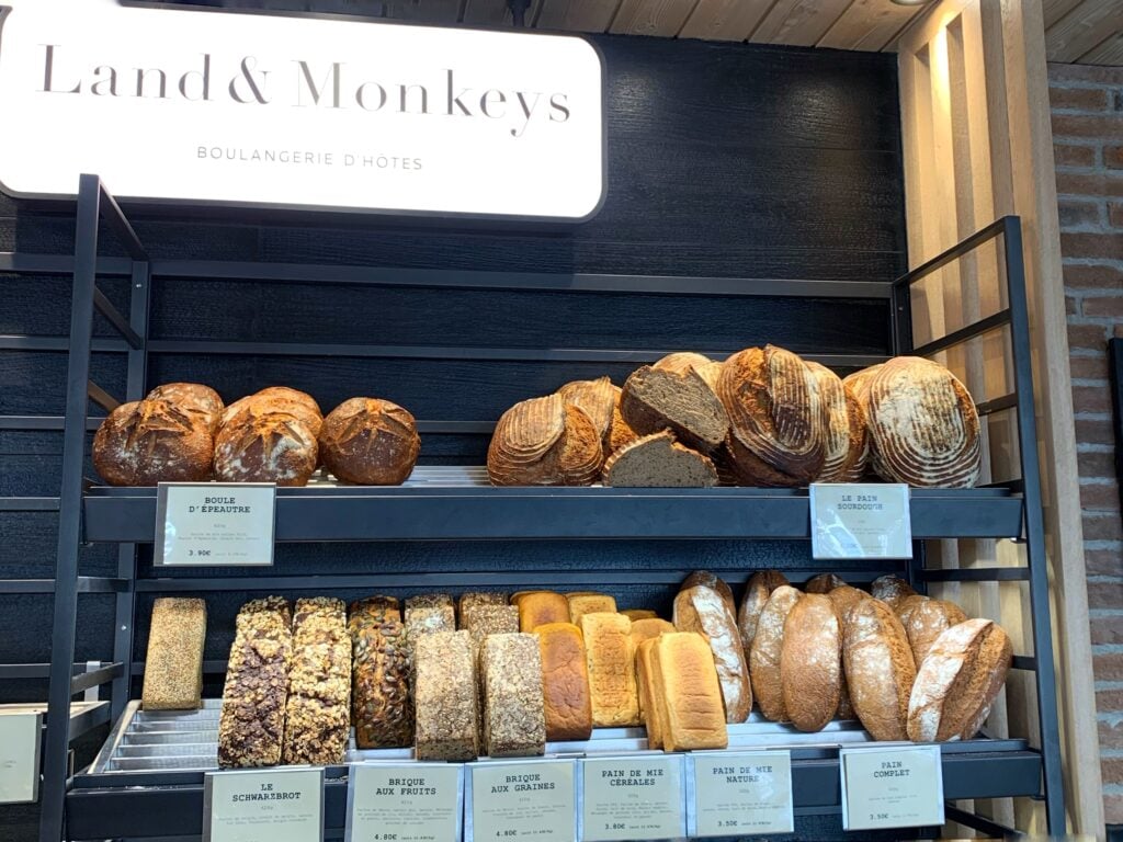 Land & Monkeys 2