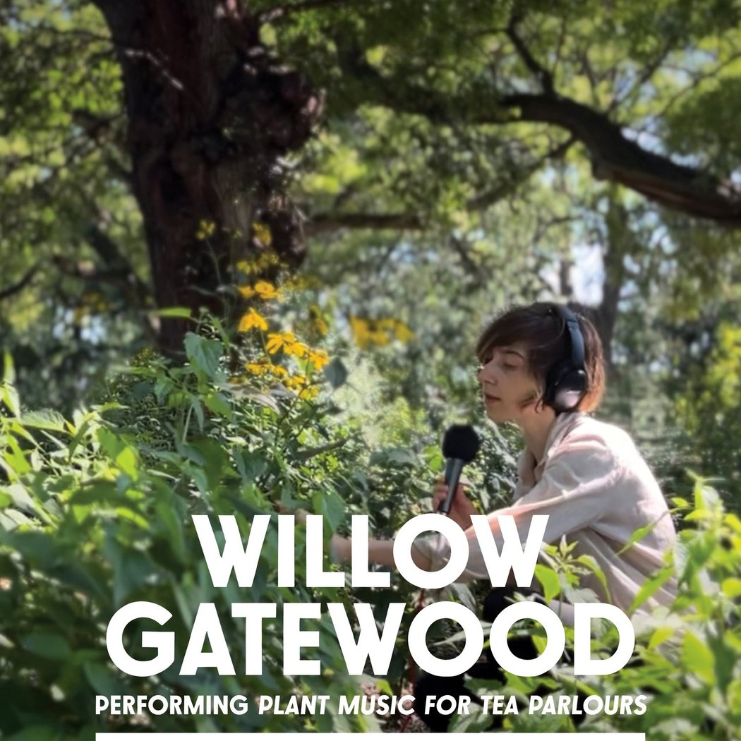 Willow Gatewood 1