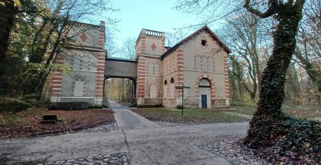 Bois de Bernouille 1