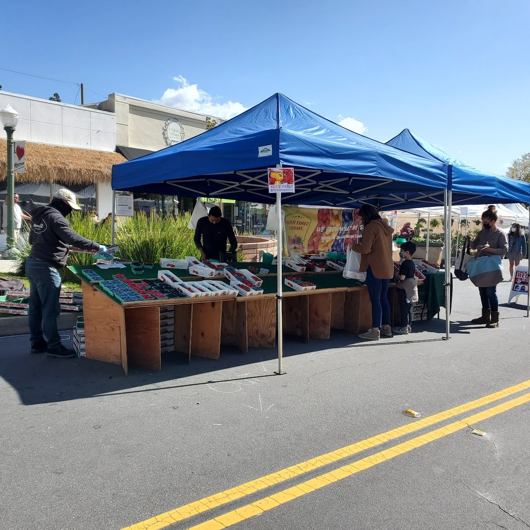 Montrose Farmers Market 2