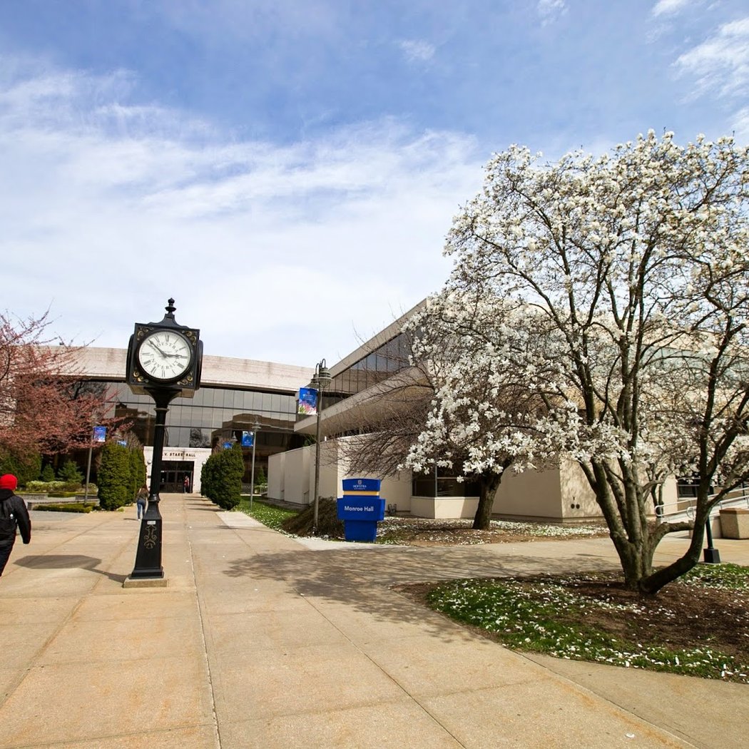 Hofstra University Science and Engineering Festival 2