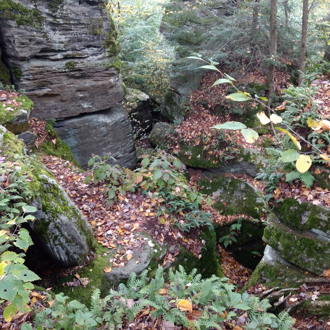 Panama Rocks Scenic Park 3