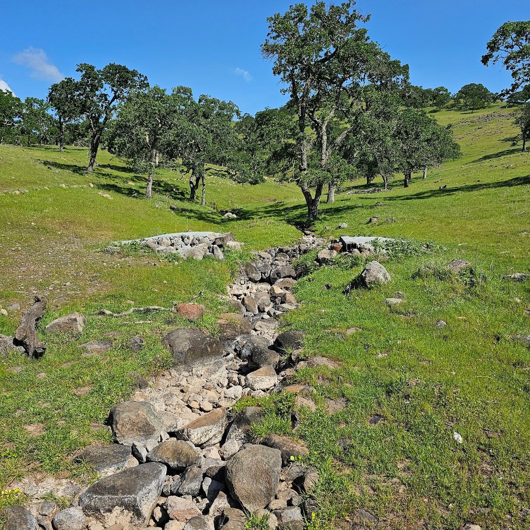 Patwino Worrtla Kodoi Dihi Open Space Park Volunteer Service Day 2