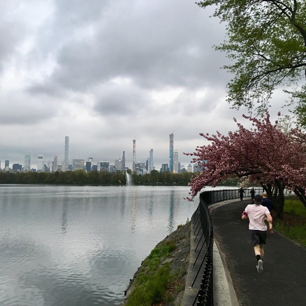 Jacqueline Kennedy Onassis Reservoir 3