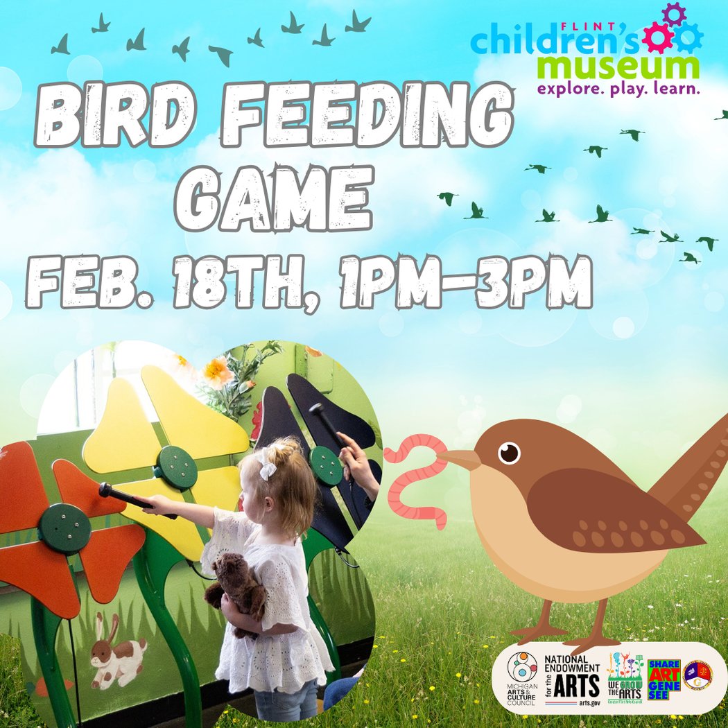 Bird Feeding Activity 1
