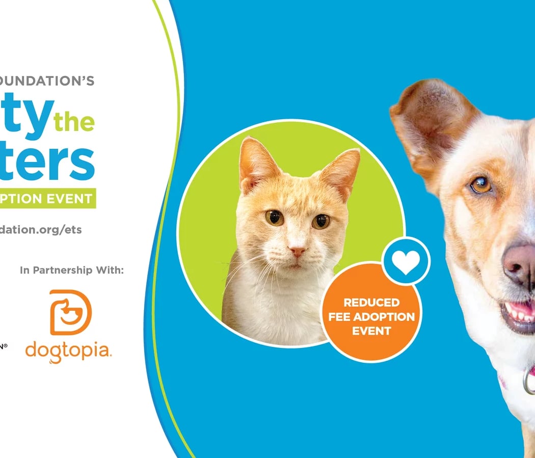 Bissell Pet Foundation: Empty the Shelters 1