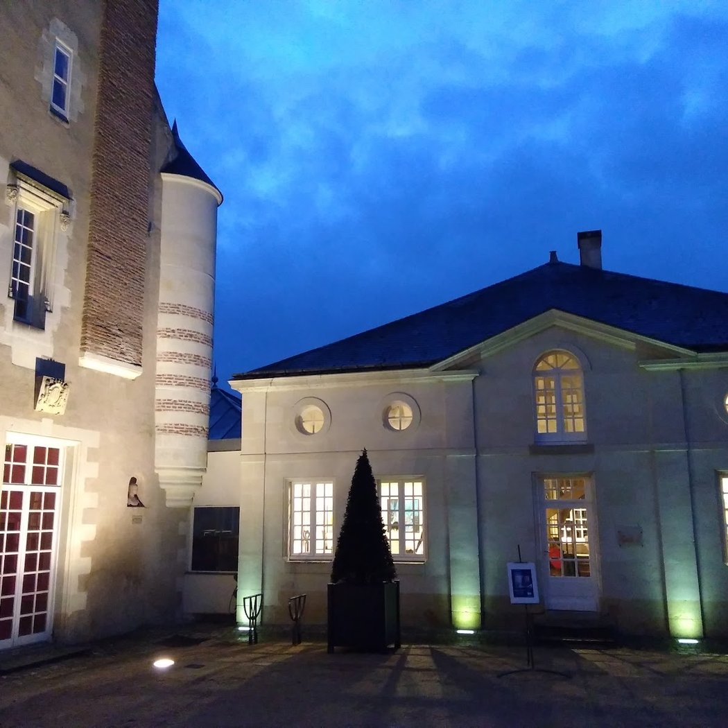 PAVILLON CHARLES X ( lieu exposition artistique ) 2