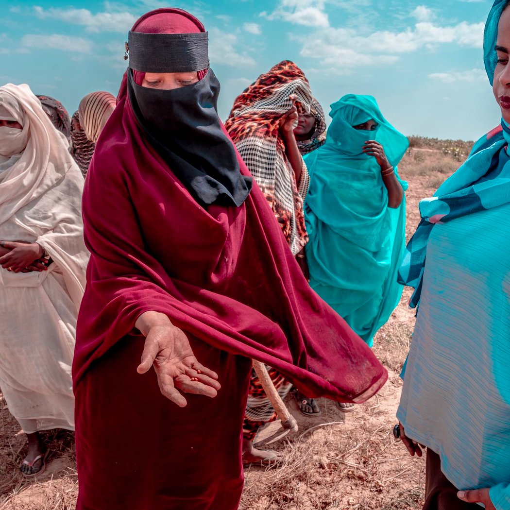 Through Her Lens: Women Rising for Peace 1