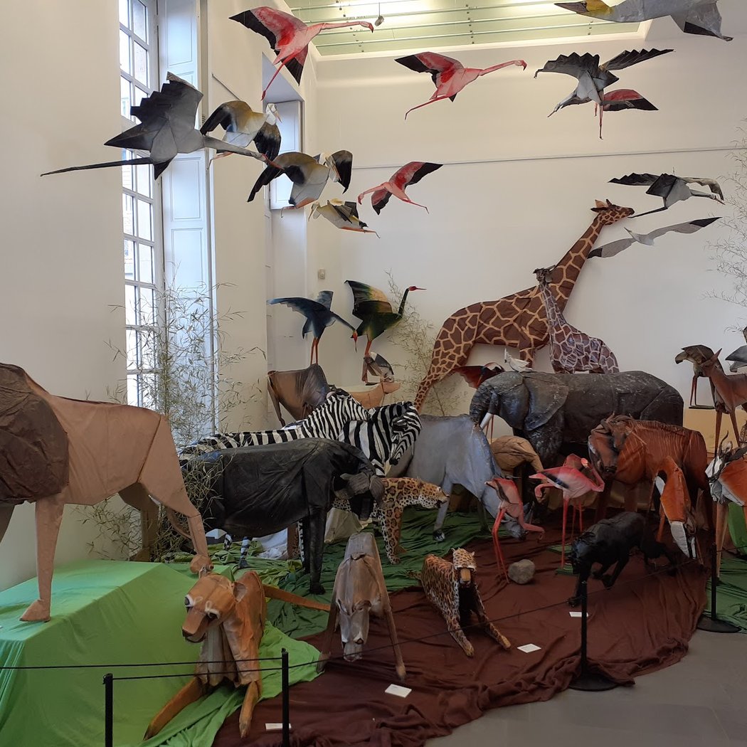 Exposition L'Odyssée de Léa de Junior Fritz Jacquet 1