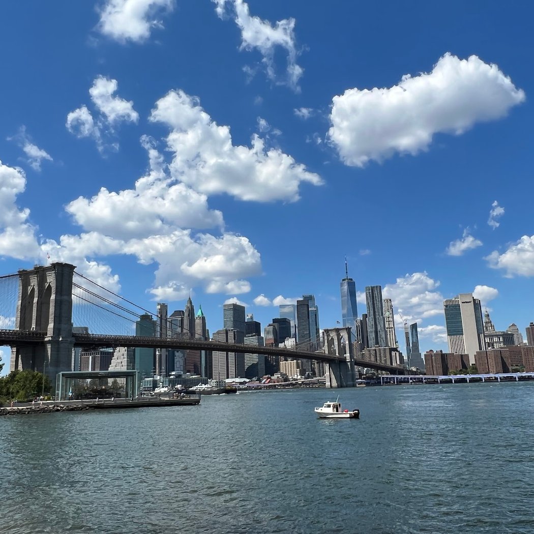 Brooklyn Bridge Park Dog Run 1